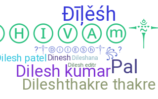 ชื่อเล่น - Dilesh