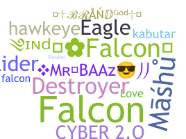 ชื่อเล่น - Falcons