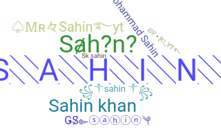 ชื่อเล่น - Sahin