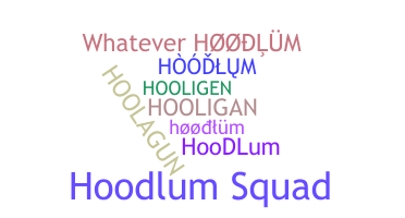 ชื่อเล่น - hoodlum