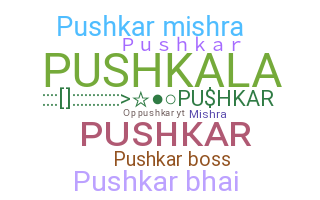 ชื่อเล่น - Pushkar